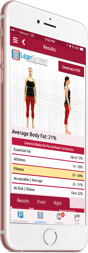 Body Mass Index Body Fat Analysis Bmr Waist To Hip Ratio